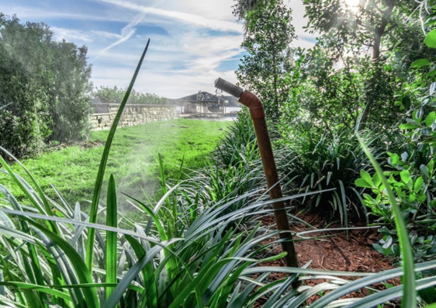 Mosquito Misting